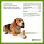 9 barritas Whimzees Snacks Dentales en Forma de Hueso para perros, , large indicador imagen numero 3